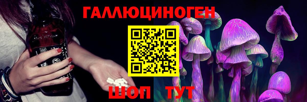 Чернушка  как найти закладки  Вход с VPN  Псилоцибиновые грибы Psilocybine cubensis 